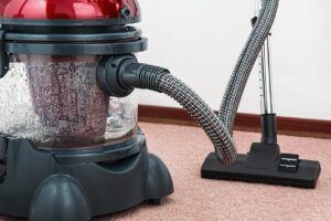vacuum cleaner, carpet cleaner, housework